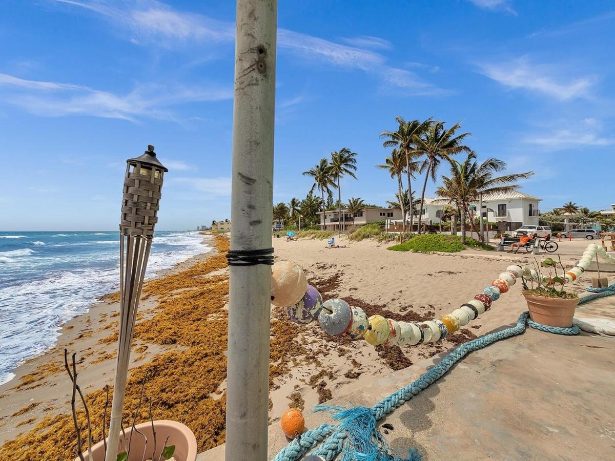 The Shell On Walnut Studio With Bath Hollywood Beach Free Parking Dania Beach Eksteriør billede